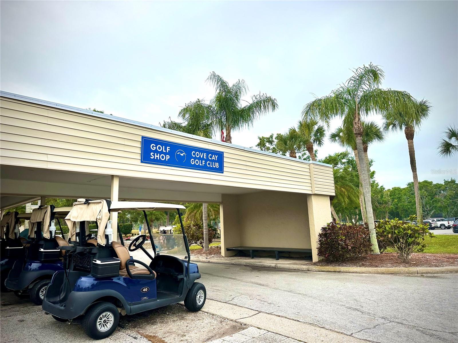 2620 COVE CAY DR #107, CLEARWATER, FL, 33760
