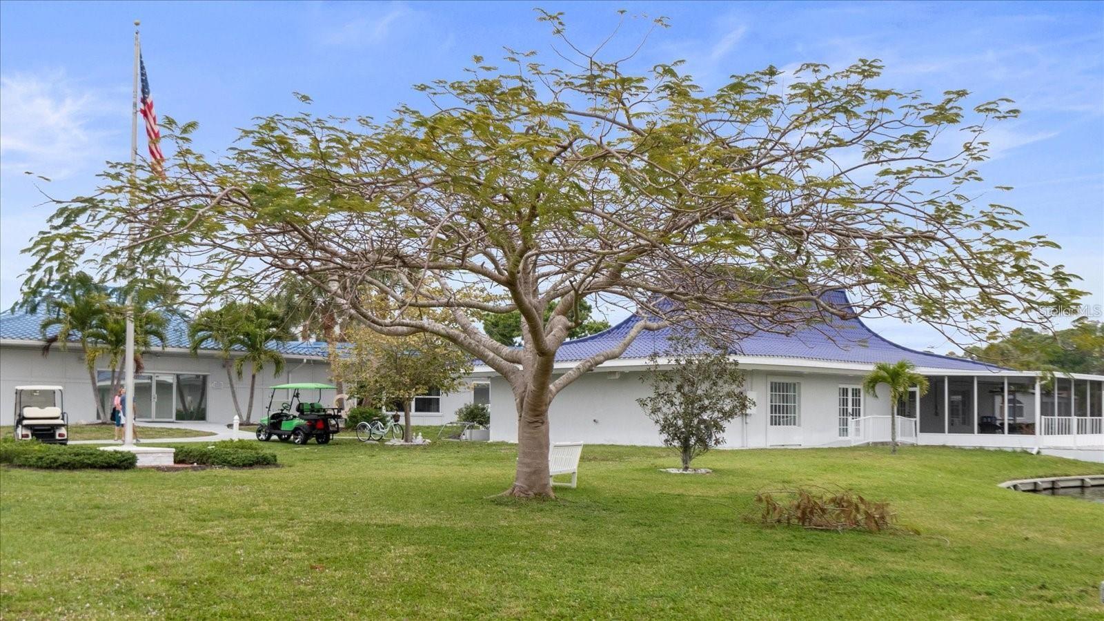 711 CHRYSANTHEMUM DR, VENICE, FL, 34293