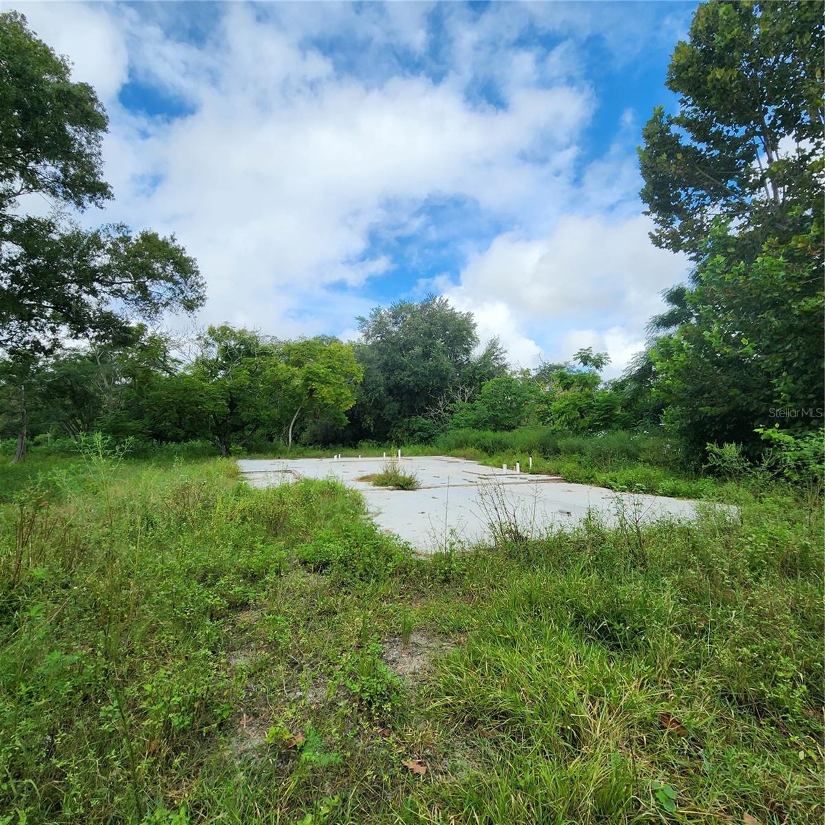 17235 MINNEOLA DR, SPRING HILL, FL, 34610