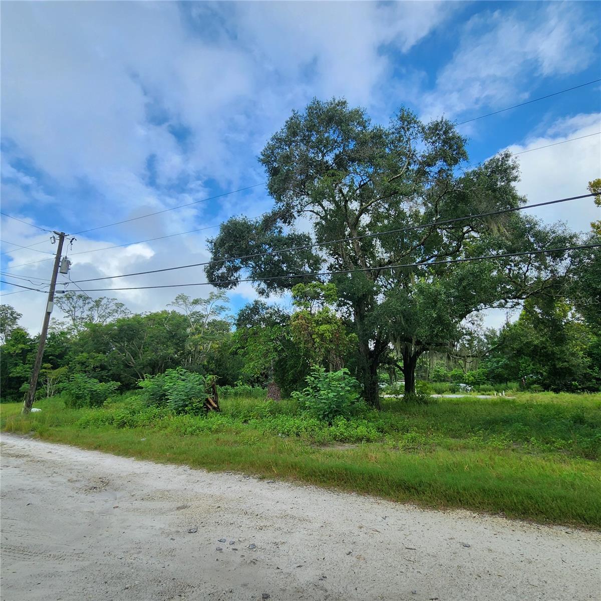 17235 MINNEOLA DR, SPRING HILL, FL, 34610