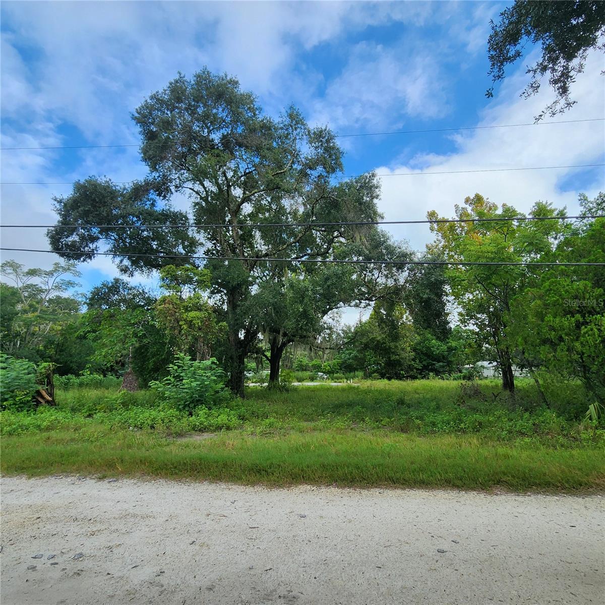 17235 MINNEOLA DR, SPRING HILL, FL, 34610
