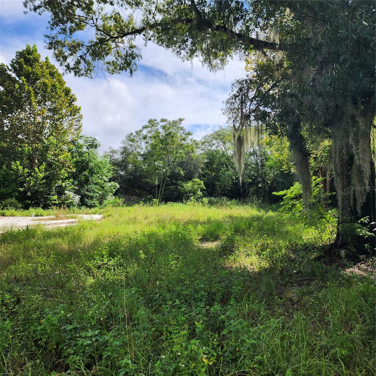 17235 MINNEOLA DR, SPRING HILL, FL, 34610