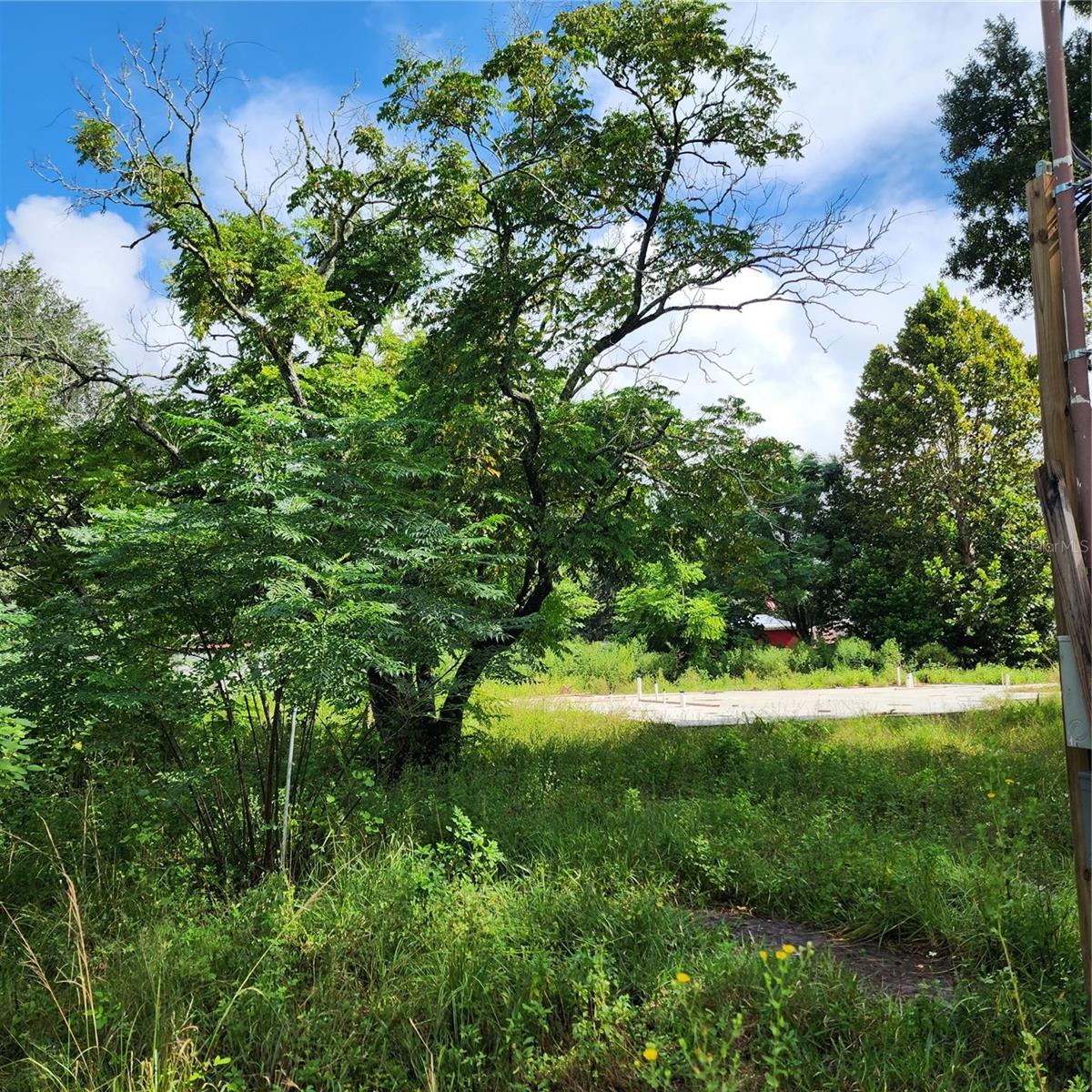 17235 MINNEOLA DR, SPRING HILL, FL, 34610