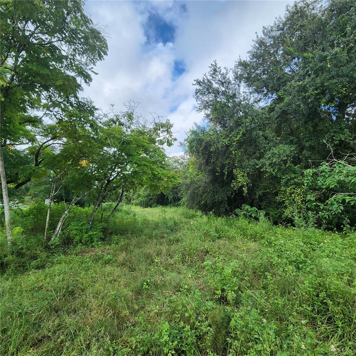 17235 MINNEOLA DR, SPRING HILL, FL, 34610