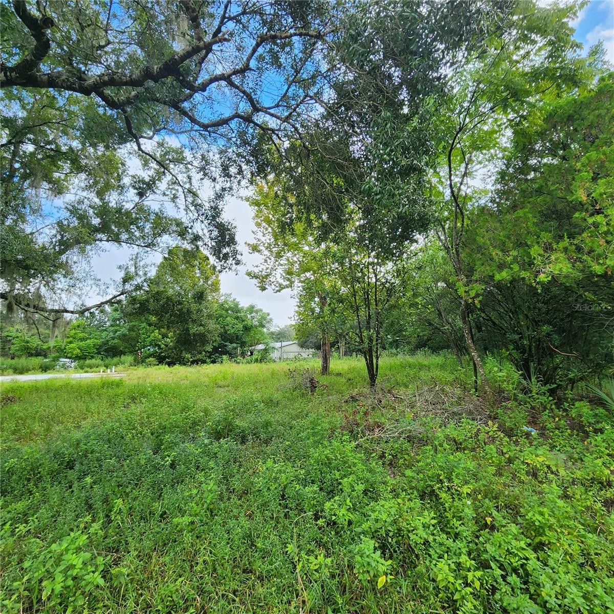 17235 MINNEOLA DR, SPRING HILL, FL, 34610