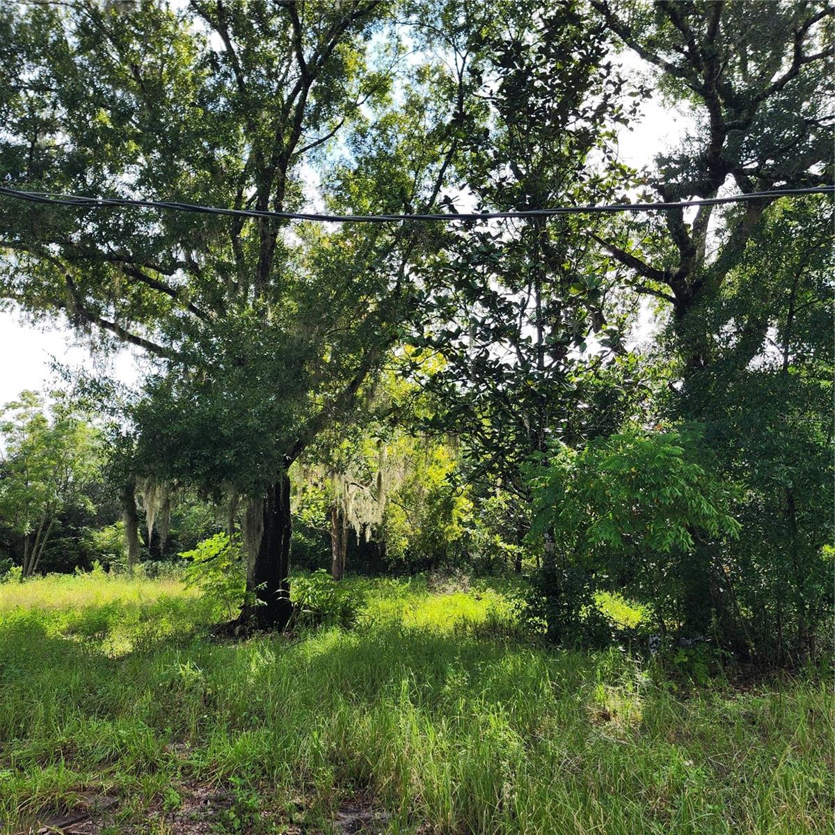 17235 MINNEOLA DR, SPRING HILL, FL, 34610