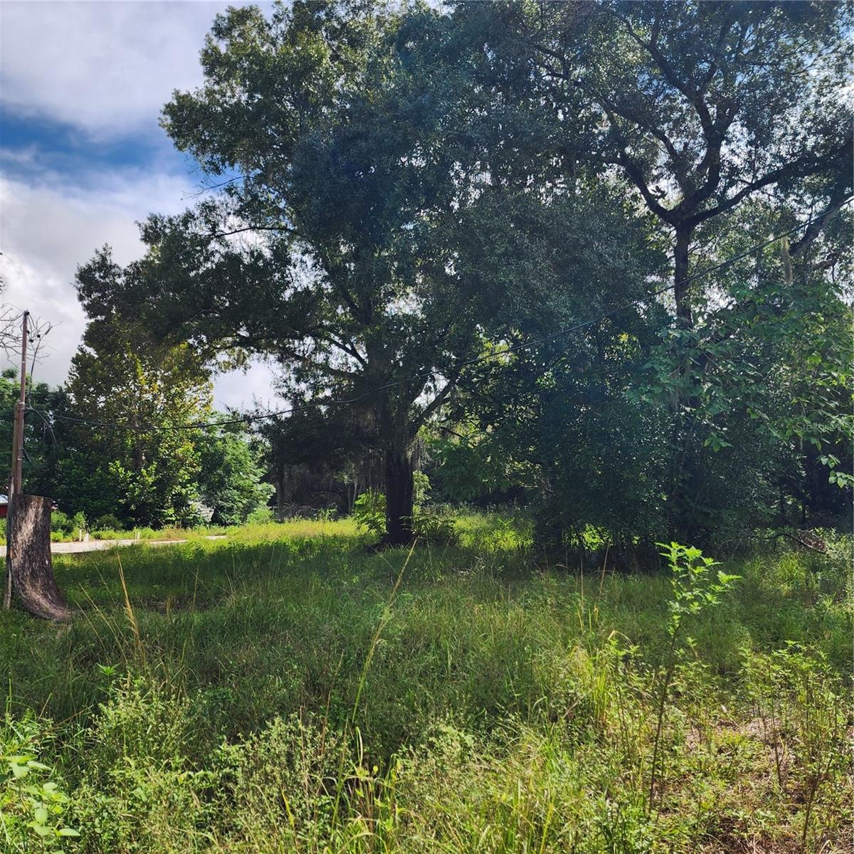 17235 MINNEOLA DR, SPRING HILL, FL, 34610