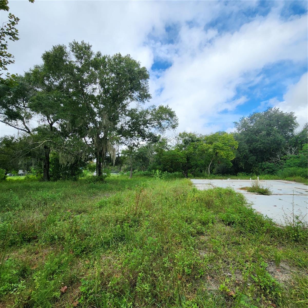17235 MINNEOLA DR, SPRING HILL, FL, 34610