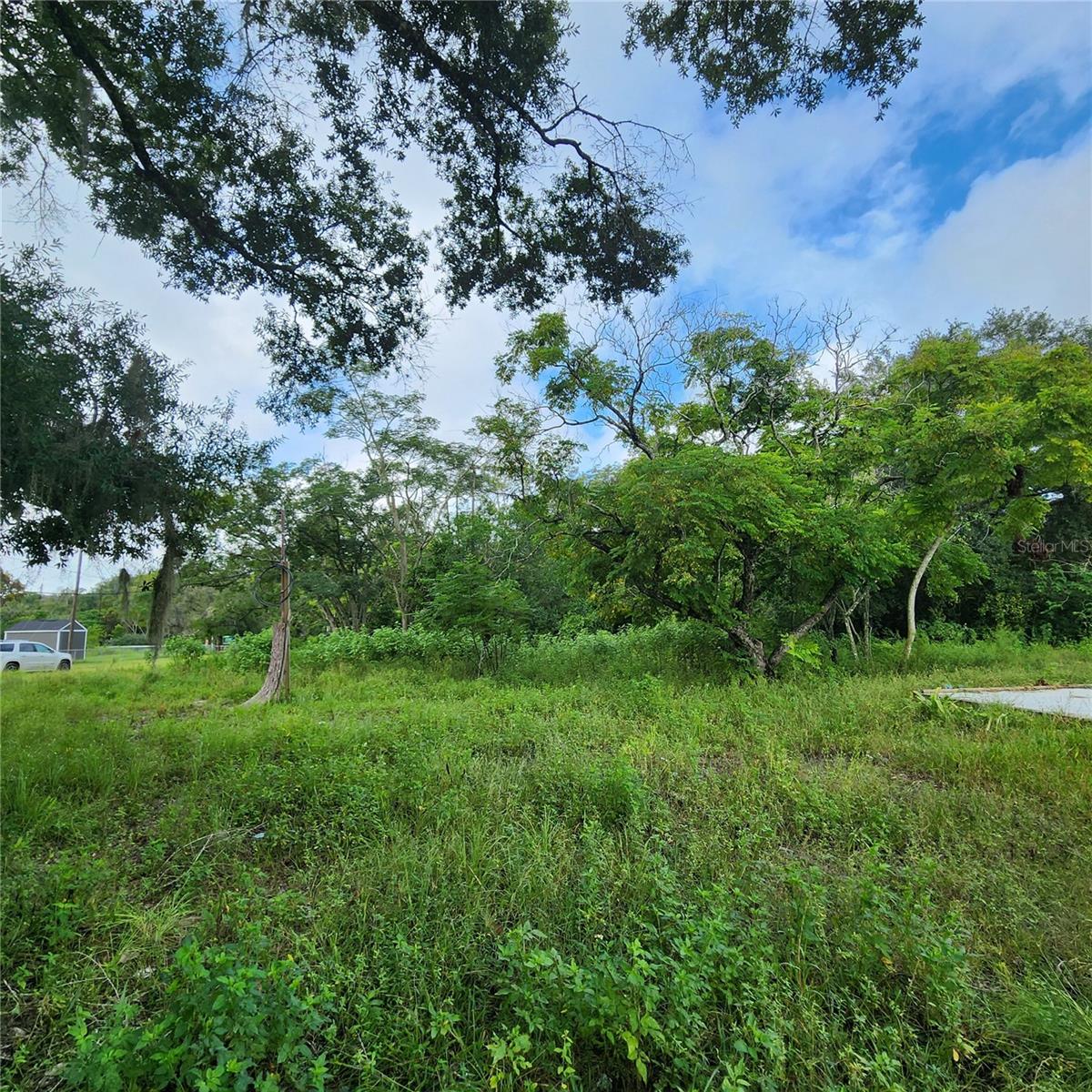17235 MINNEOLA DR, SPRING HILL, FL, 34610