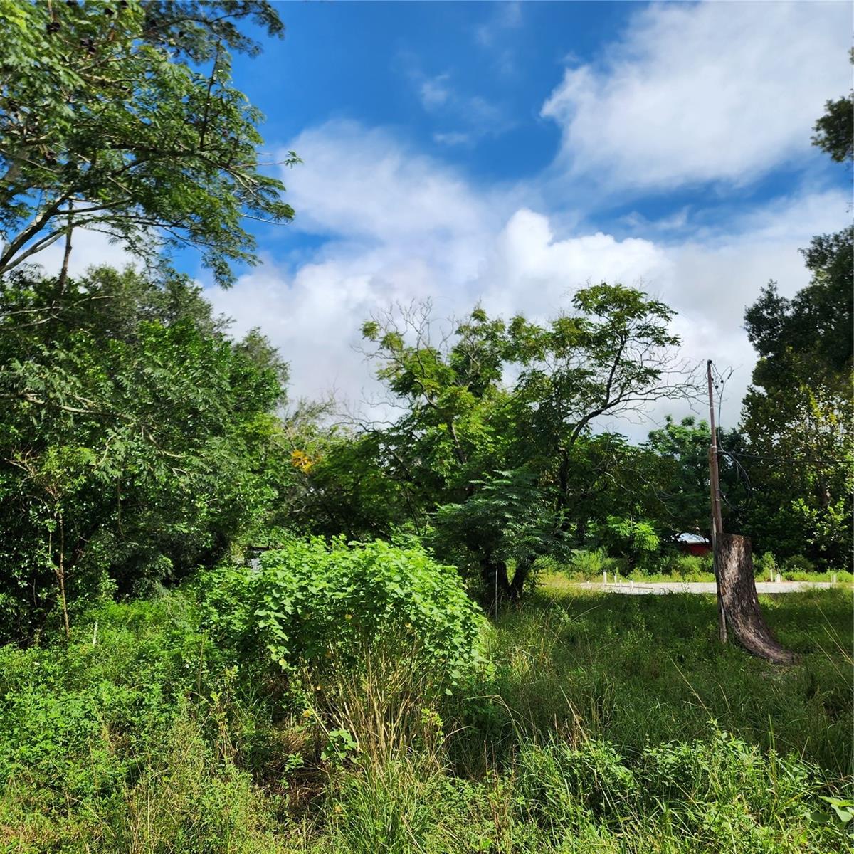 17235 MINNEOLA DR, SPRING HILL, FL, 34610