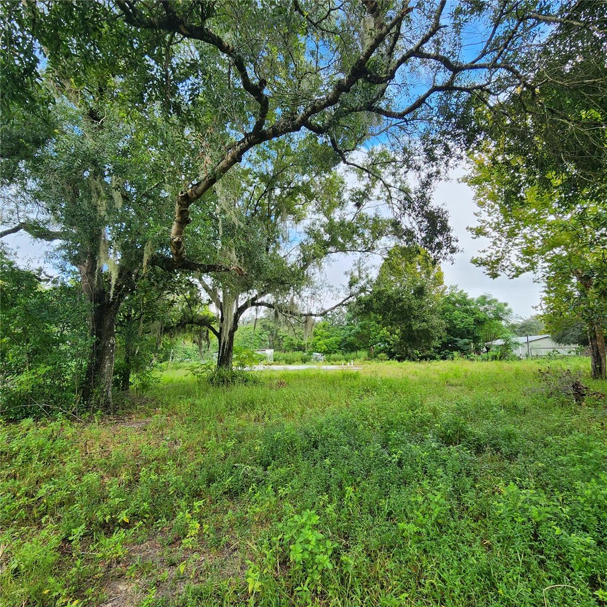 17235 MINNEOLA DR, SPRING HILL, FL, 34610