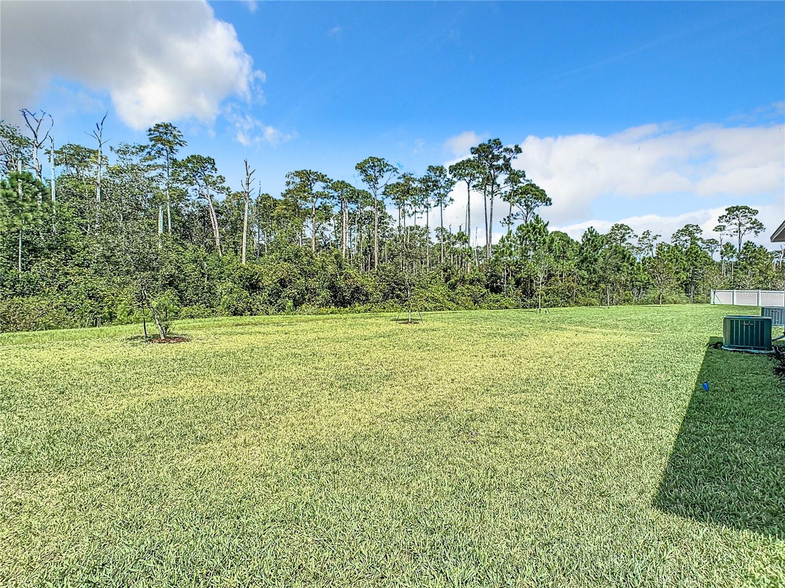3241 CARPENTARIA DR, NEW SMYRNA BEACH, FL, 32168