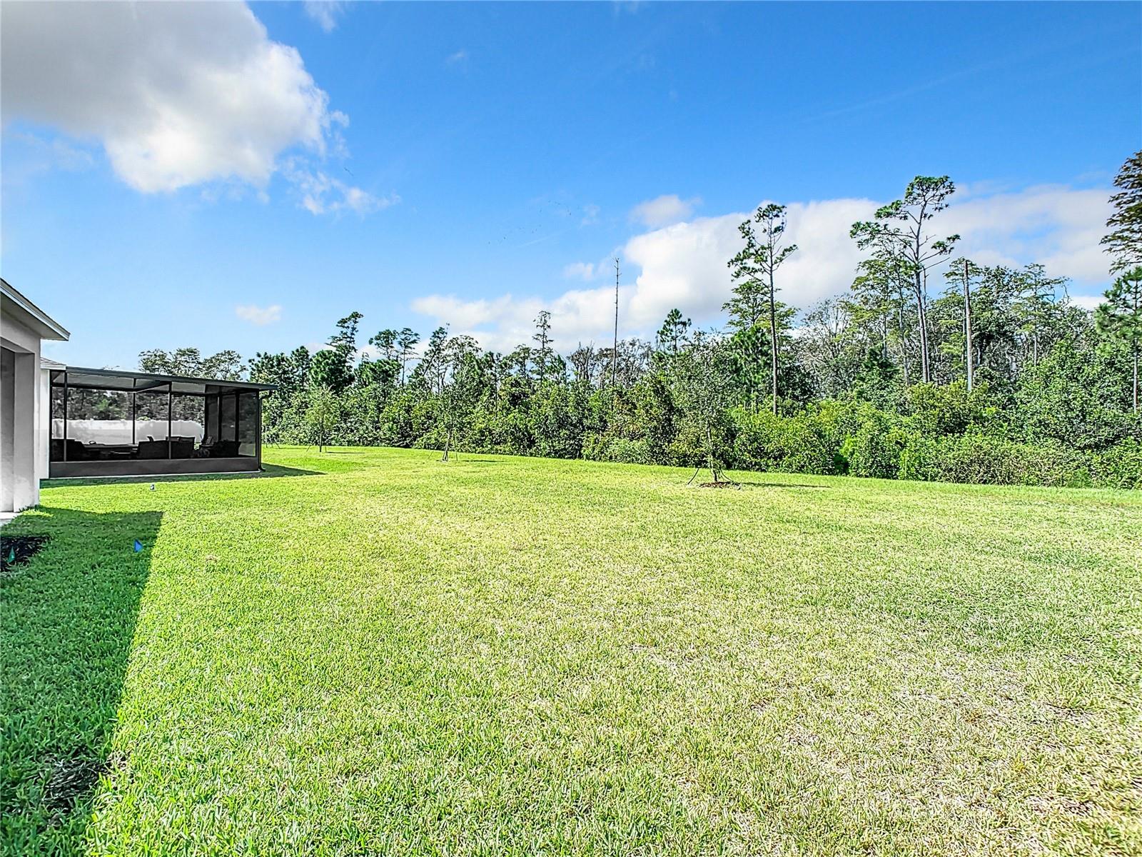 3241 CARPENTARIA DR, NEW SMYRNA BEACH, FL, 32168