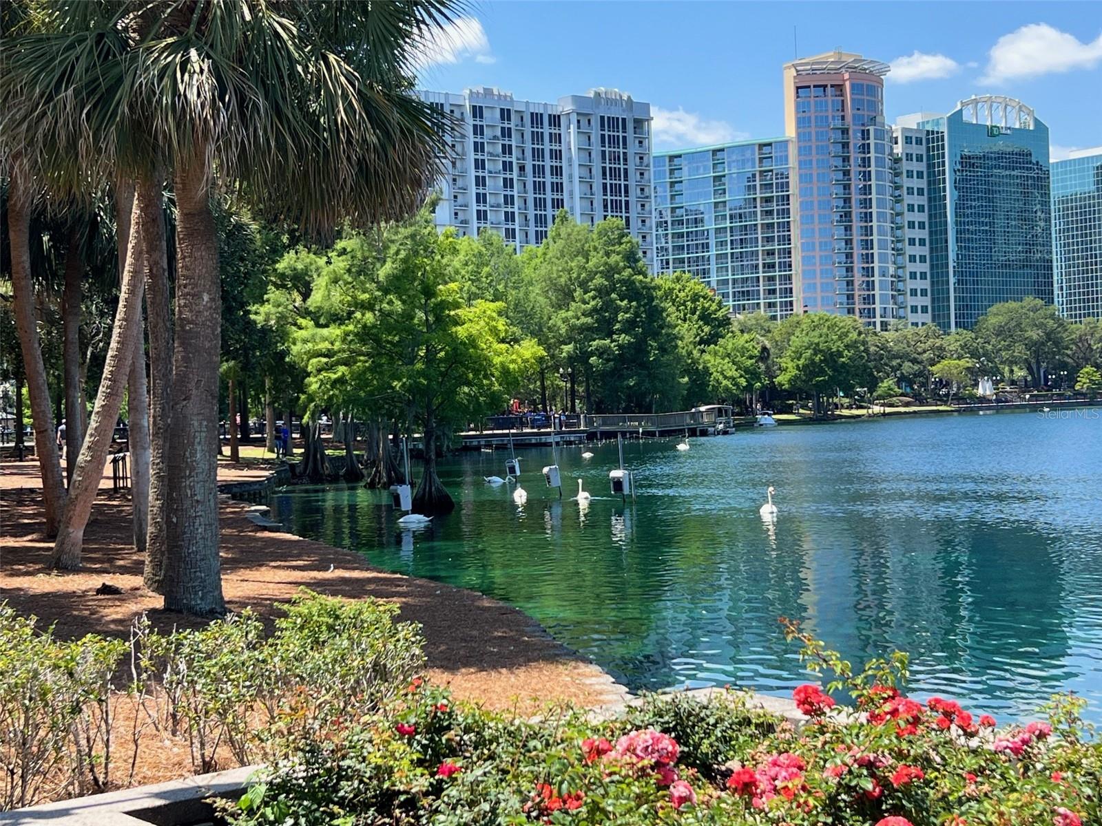 530 E CENTRAL BLVD #401, ORLANDO, FL, 32801