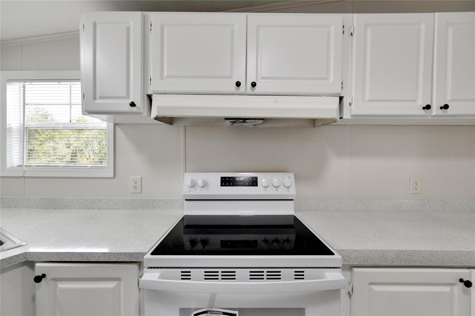 4250 LAUREL CREST CT, MULBERRY, FL, 33860
