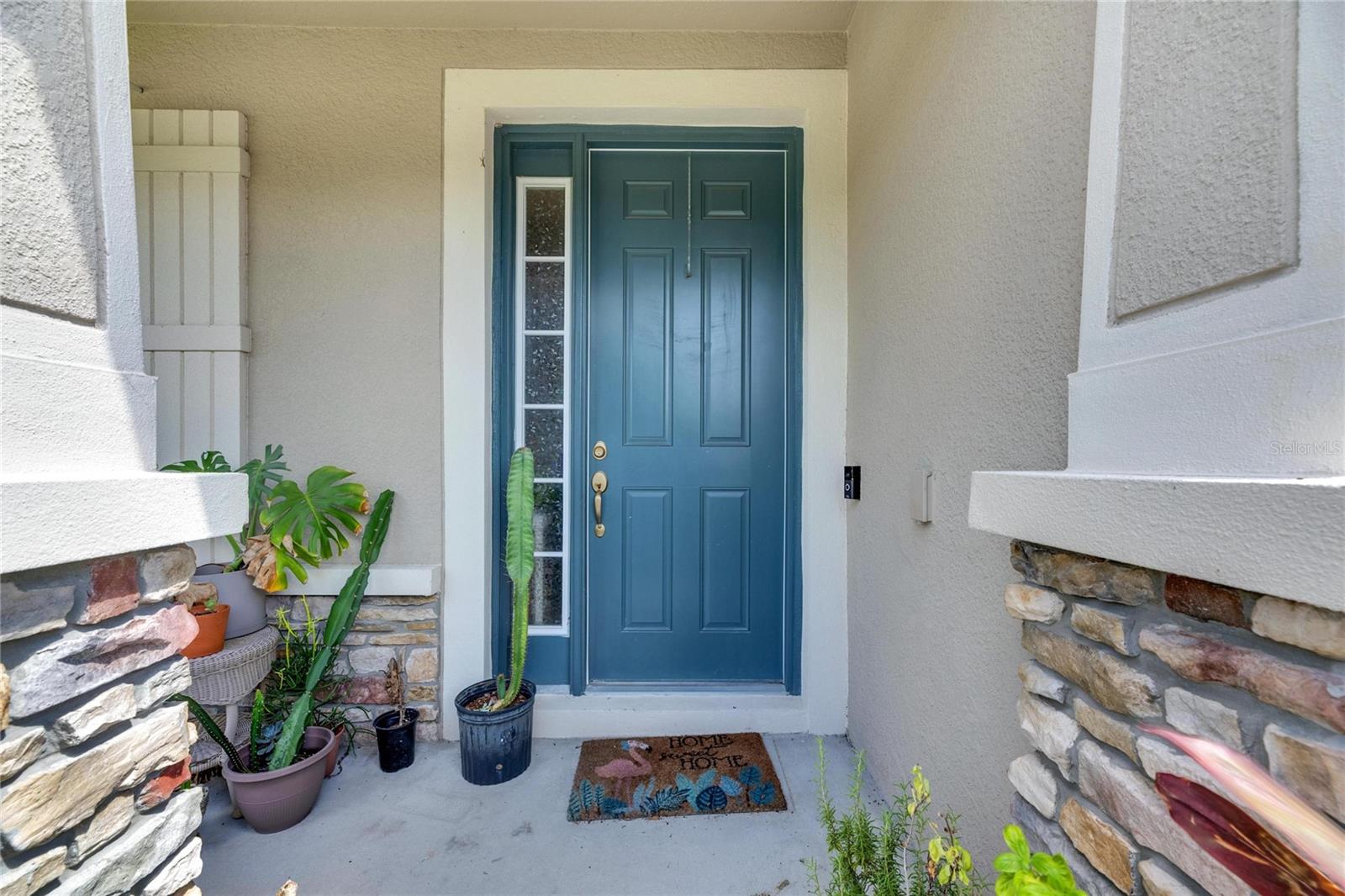 13012 RAIN LILY DR, RIVERVIEW, FL, 33579