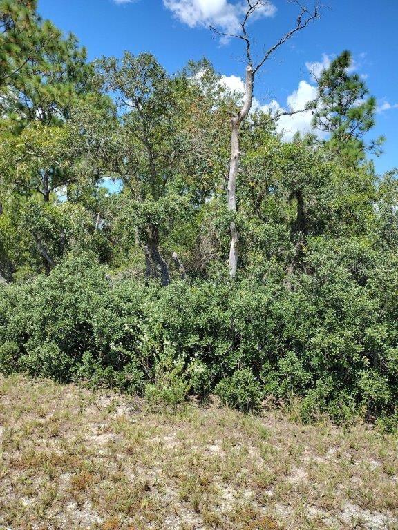 0 SW COTTONWOOD LN, DUNNELLON, FL, 34431