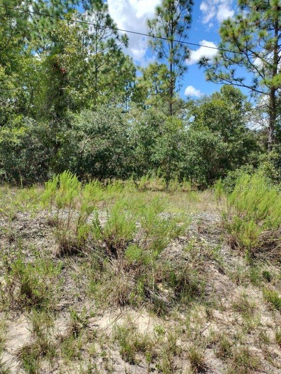 0 SW COTTONWOOD LN, DUNNELLON, FL, 34431