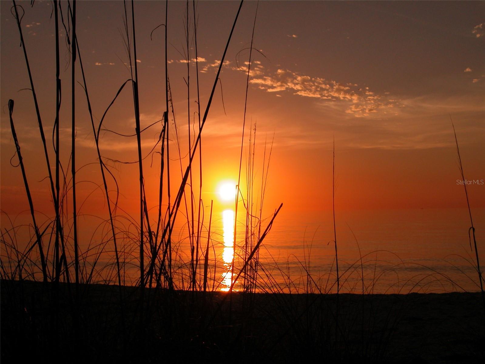 1945 GULF OF MEXICO DR #M2-310, LONGBOAT KEY, FL, 34228