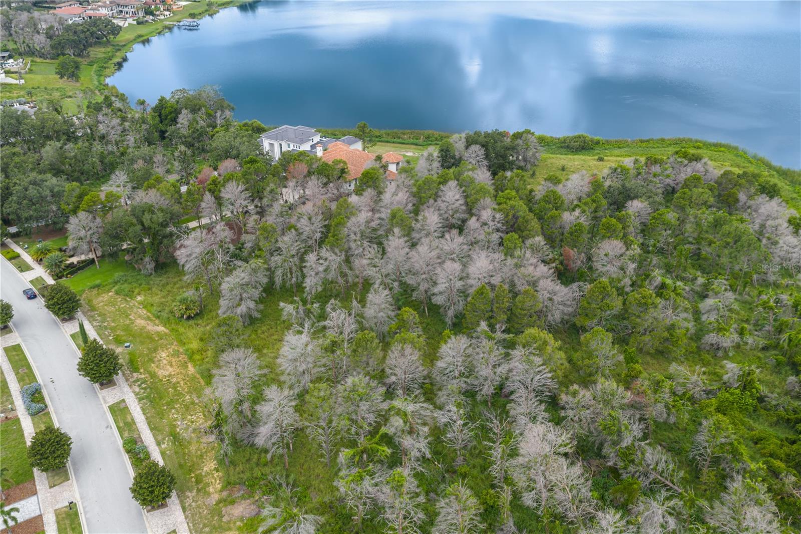 15109 PENDIO DR, BELLA COLLINA, FL, 34756