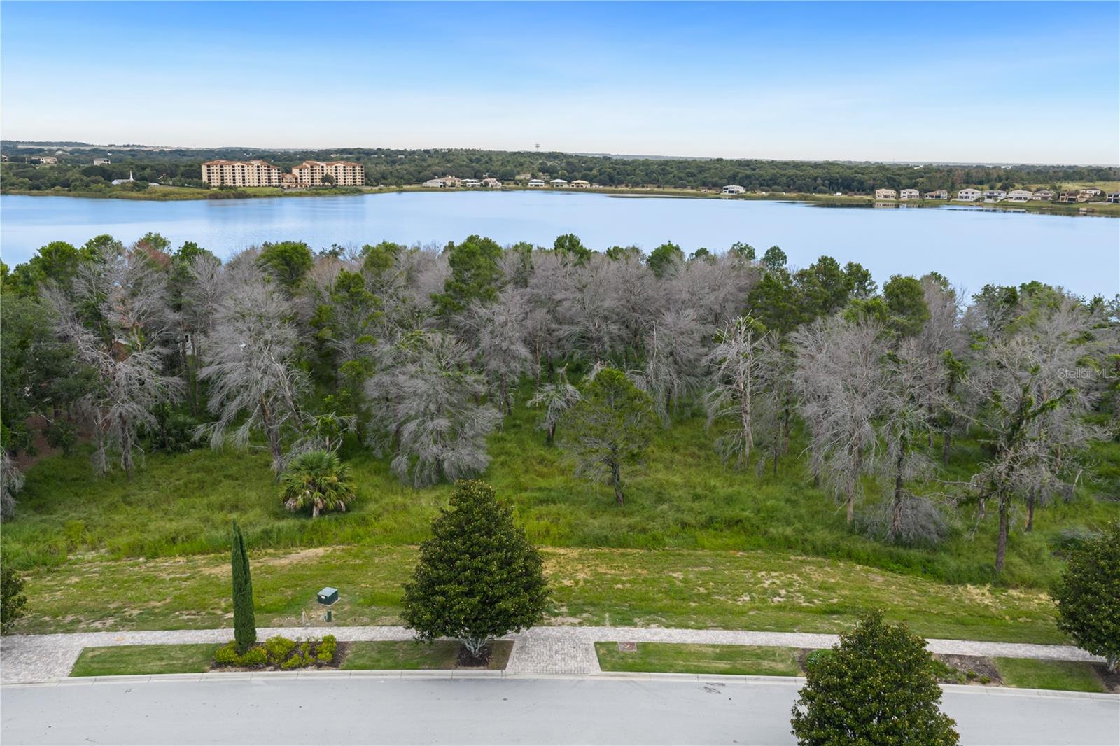 15109 PENDIO DR, BELLA COLLINA, FL, 34756