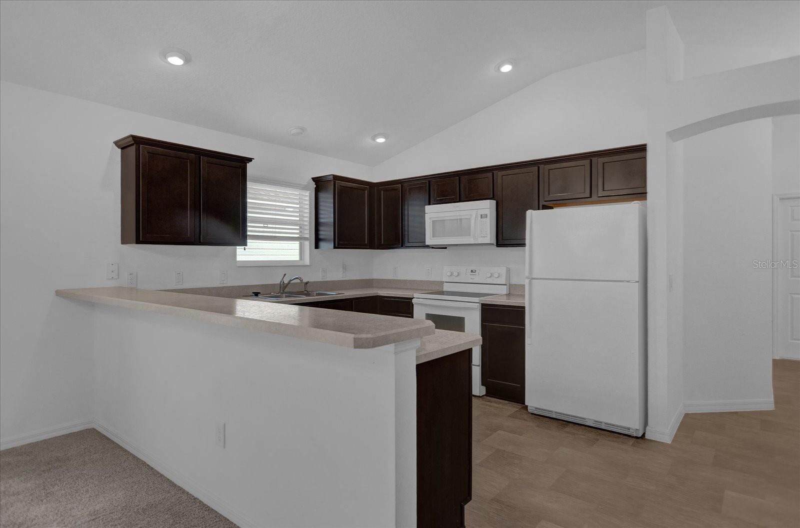 585 BURNSIDE PL, THE VILLAGES, FL, 32163