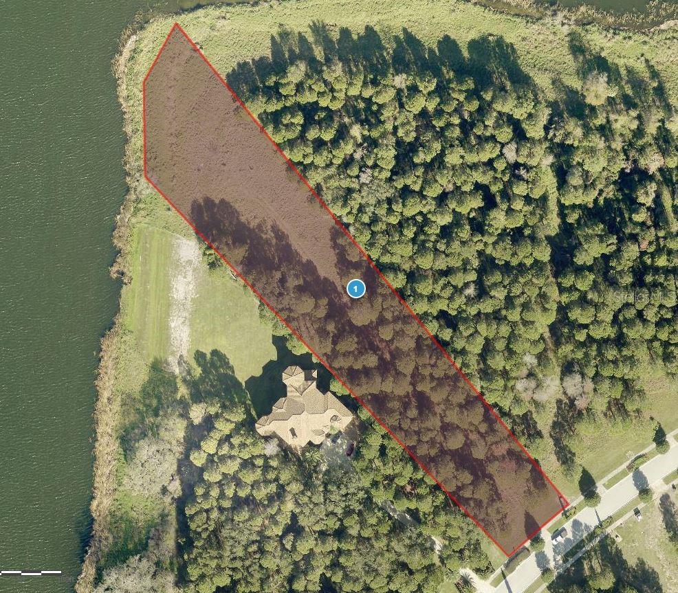 15105 PENDIO DR, BELLA COLLINA, FL, 34756