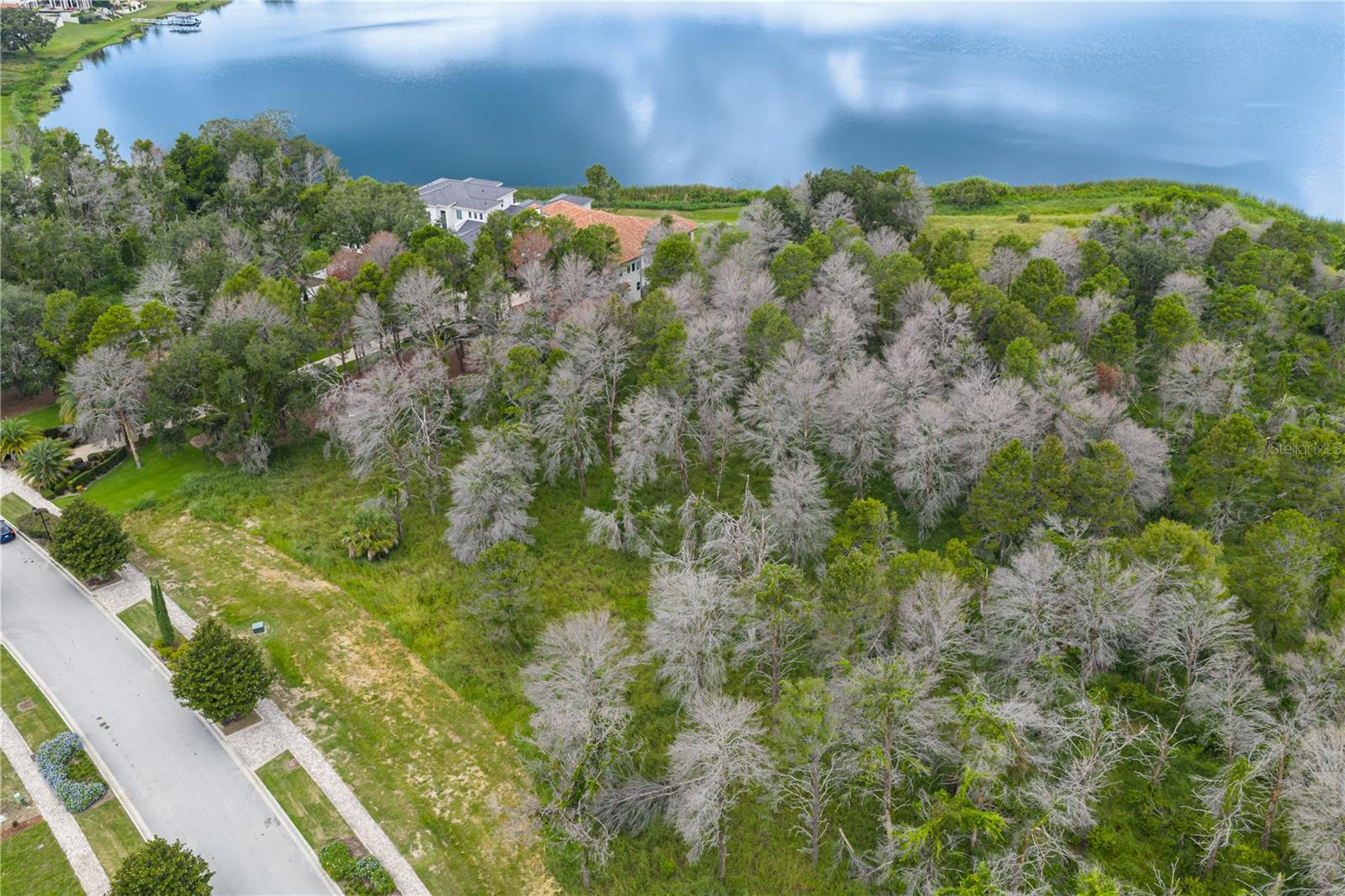 15105 PENDIO DR, BELLA COLLINA, FL, 34756