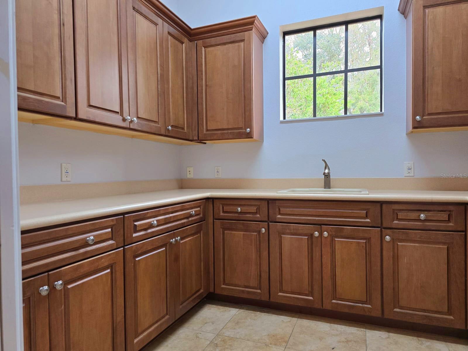 24155 HIDEOUT TRL, LAND O LAKES, FL, 34639