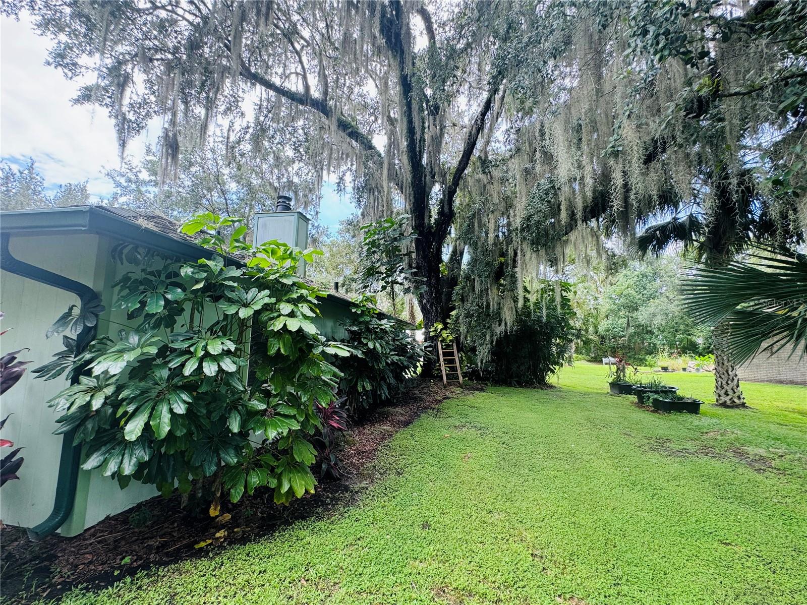 2669 WOOD DUCK VLG, DELAND, FL, 32720