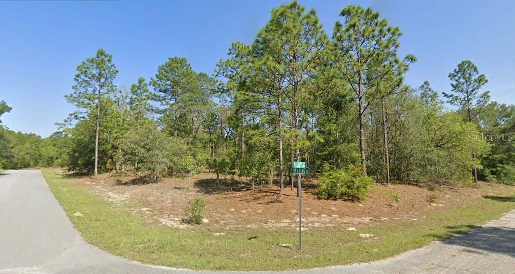 9611 N DEARING LOOP, DUNNELLON, FL, 34434