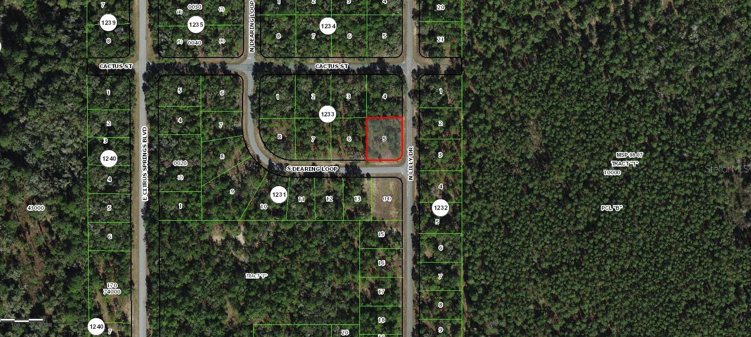 9611 N DEARING LOOP, DUNNELLON, FL, 34434