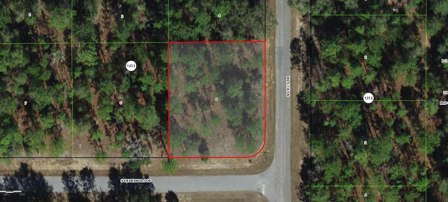 9611 N DEARING LOOP, DUNNELLON, FL, 34434