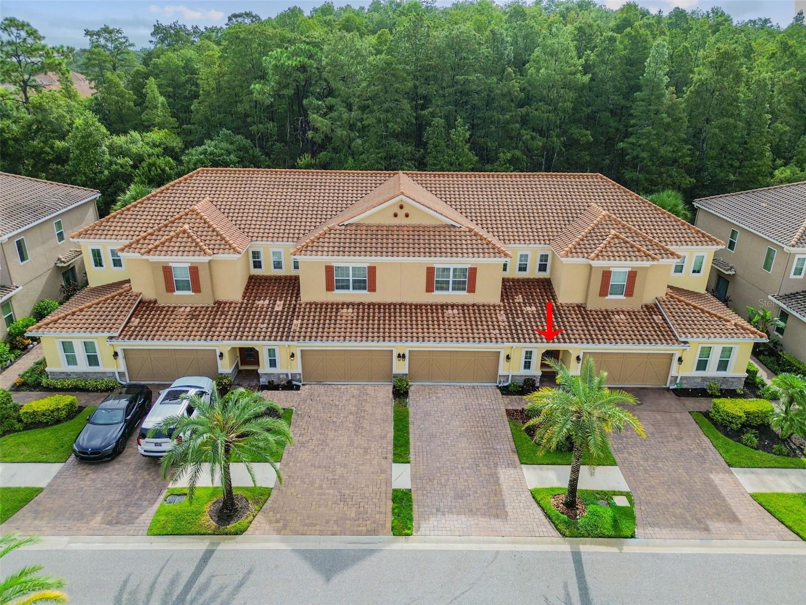 12311 TERRACINA CHASE CT, TAMPA, FL, 33625