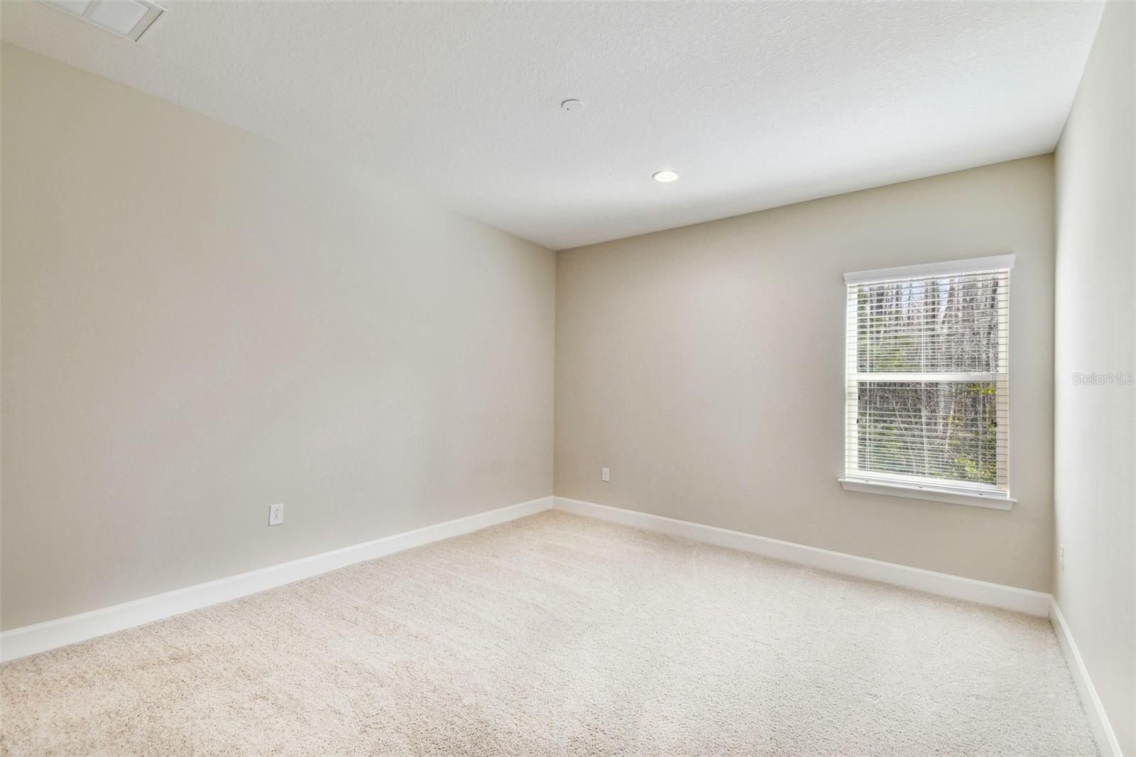 12311 TERRACINA CHASE CT, TAMPA, FL, 33625