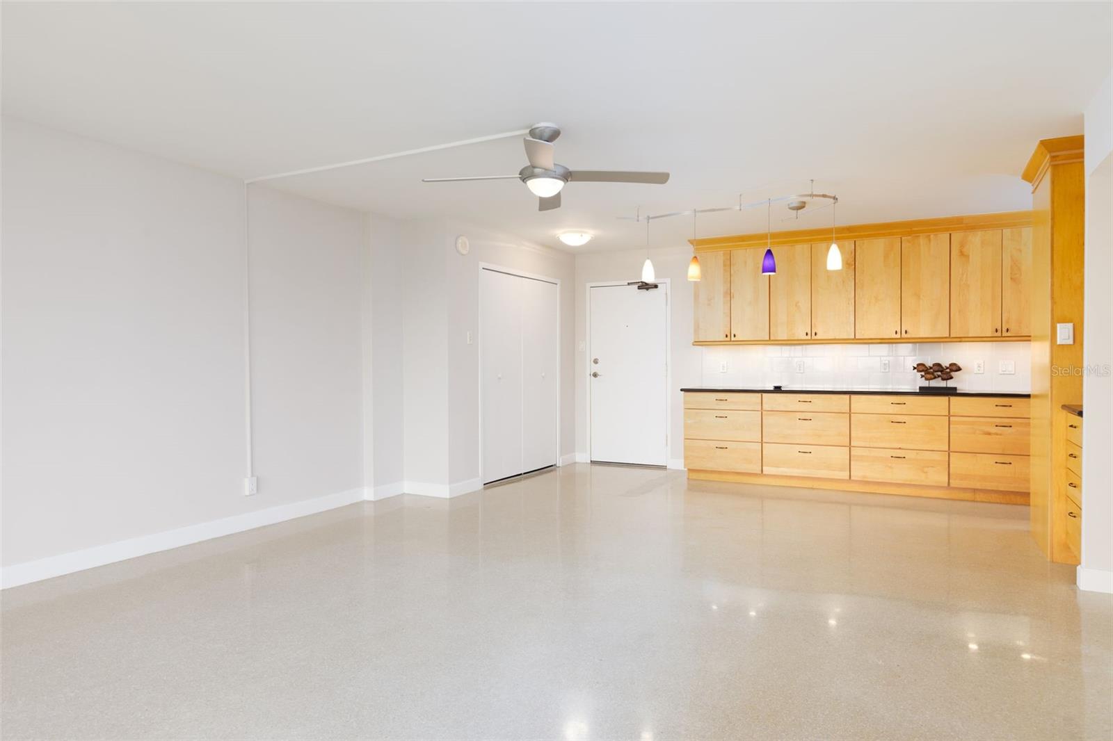 10355 PARADISE BLVD #1015, TREASURE ISLAND, FL, 33706