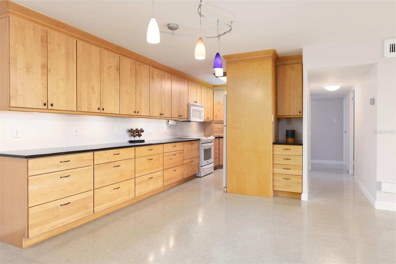 10355 PARADISE BLVD #1015, TREASURE ISLAND, FL, 33706