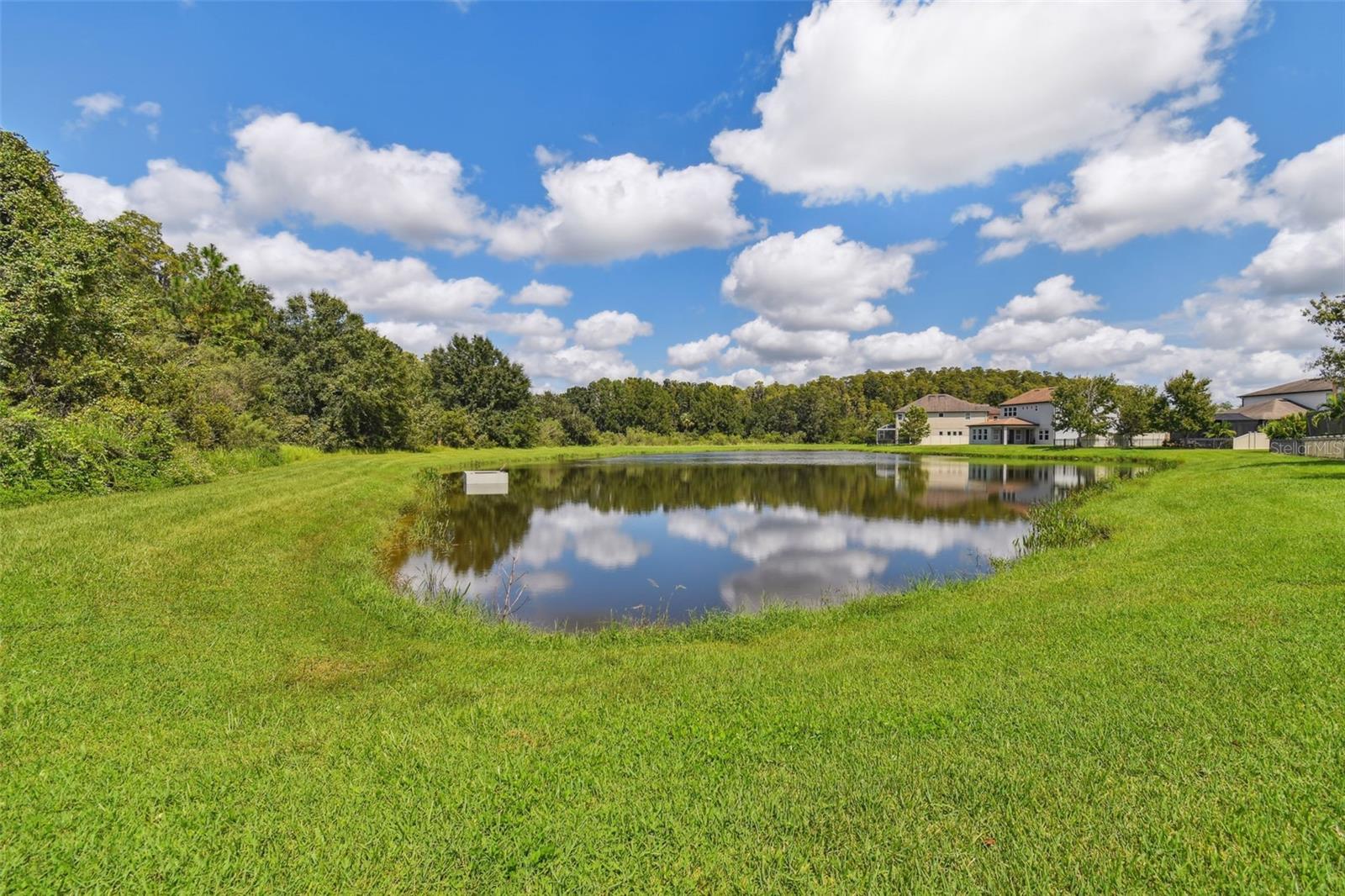4077 CANINO CT, WESLEY CHAPEL, FL, 33543