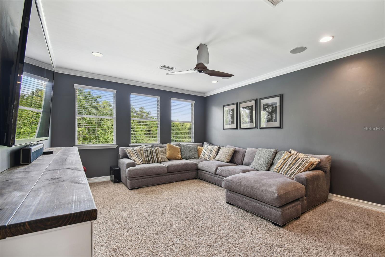 4077 CANINO CT, WESLEY CHAPEL, FL, 33543