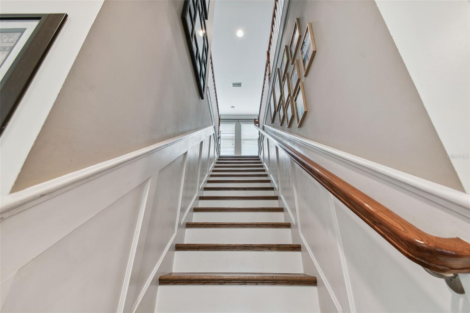 4077 CANINO CT, WESLEY CHAPEL, FL, 33543