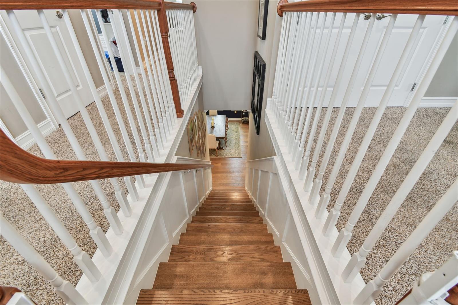 4077 CANINO CT, WESLEY CHAPEL, FL, 33543