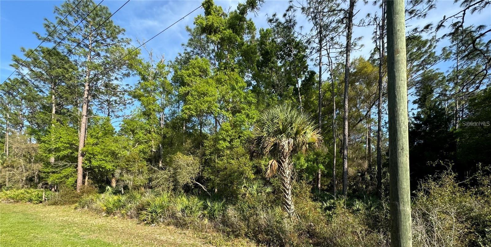 10070 W DUNELLON RD, CRYSTAL RIVER, FL, 34428