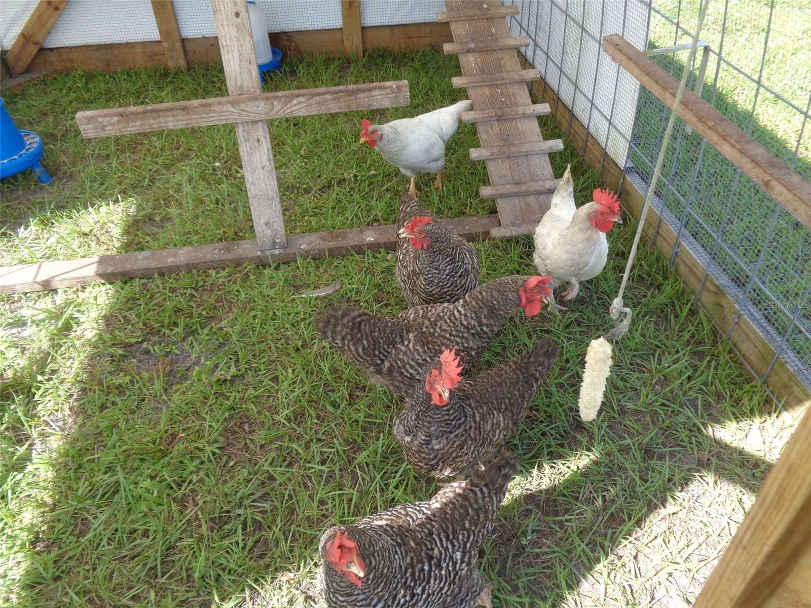 31241 WASHINGTON LOOP RD, PUNTA GORDA, FL, 33982