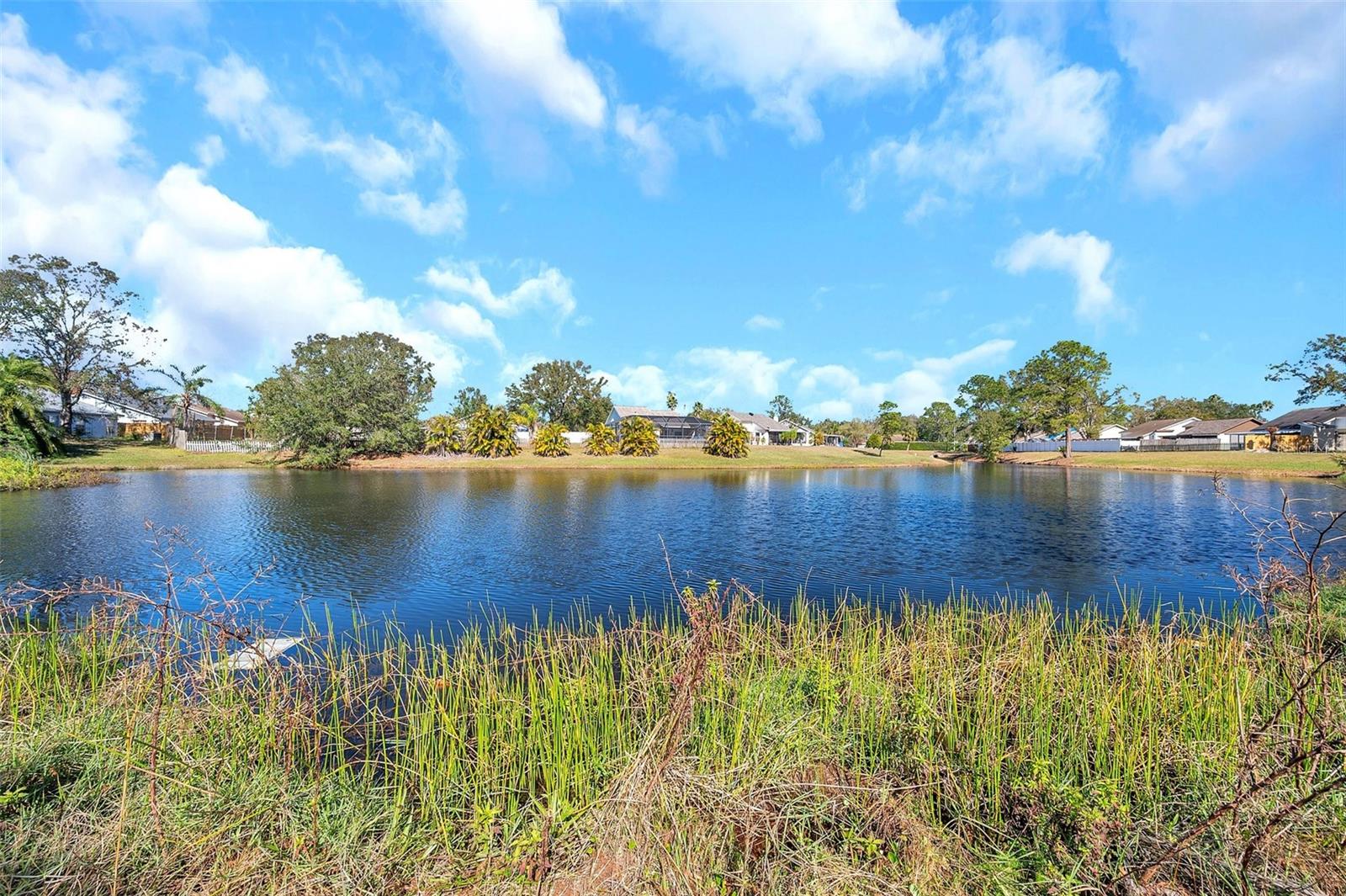 13339 LARAWAY DR, RIVERVIEW, FL, 33579