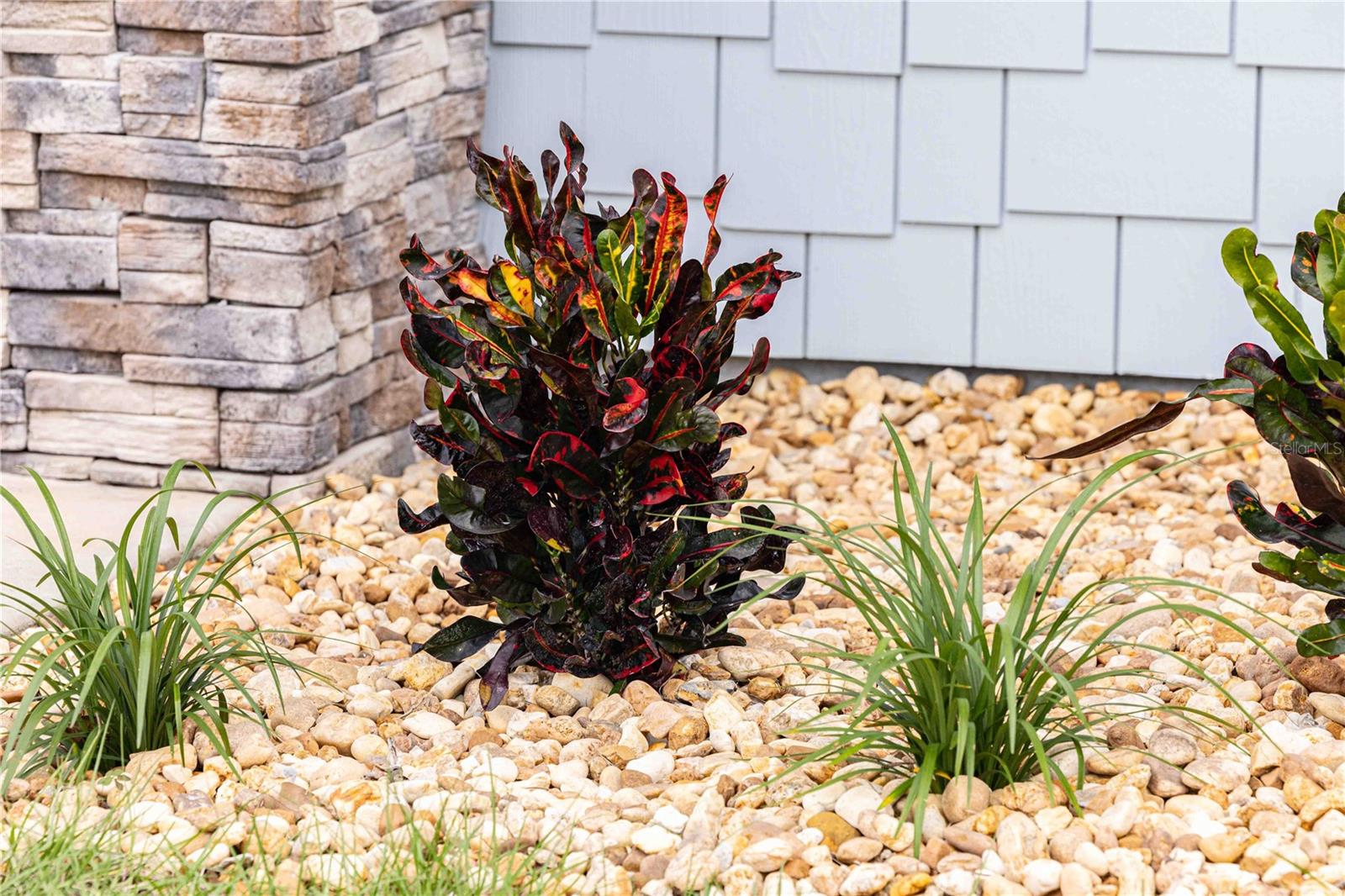 10611 GRAND OAKS BLVD, OXFORD, FL, 34484