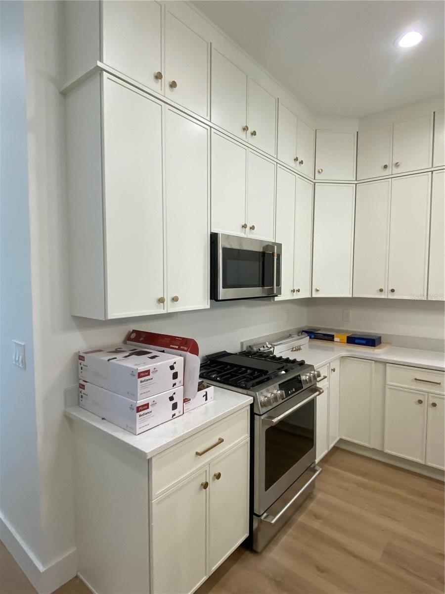 10619 GRAND OAKS BLVD, OXFORD, FL, 34484