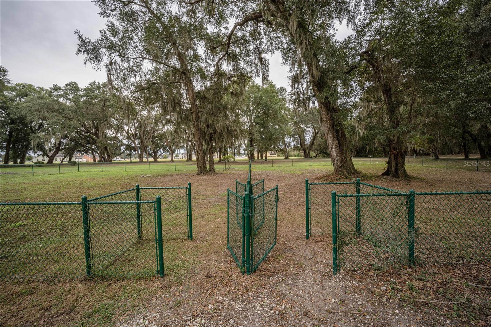 10601 GRAND OAKS BLVD, OXFORD, FL, 34484