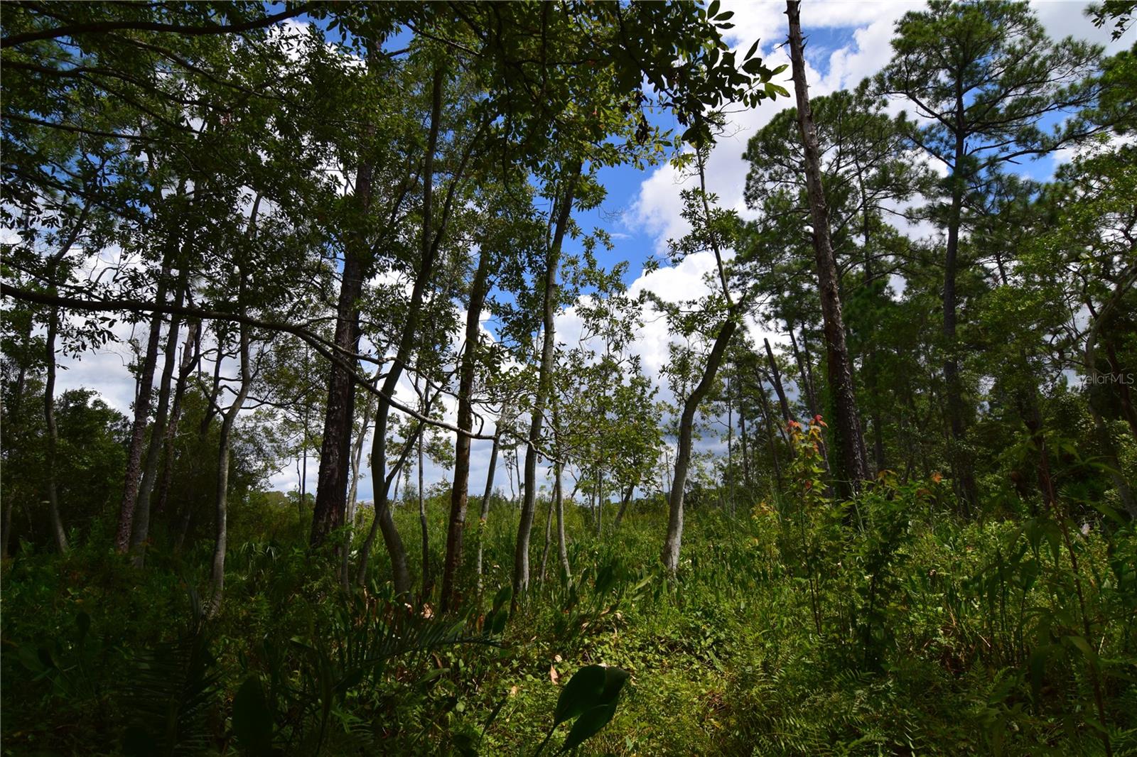 OFF PALM SPRINGS & BEACH, LONGWOOD, FL, 32750