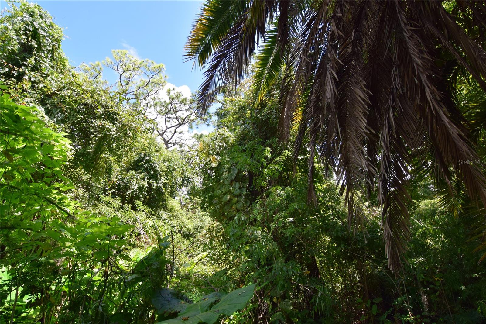OFF PALM SPRINGS & BEACH, LONGWOOD, FL, 32750