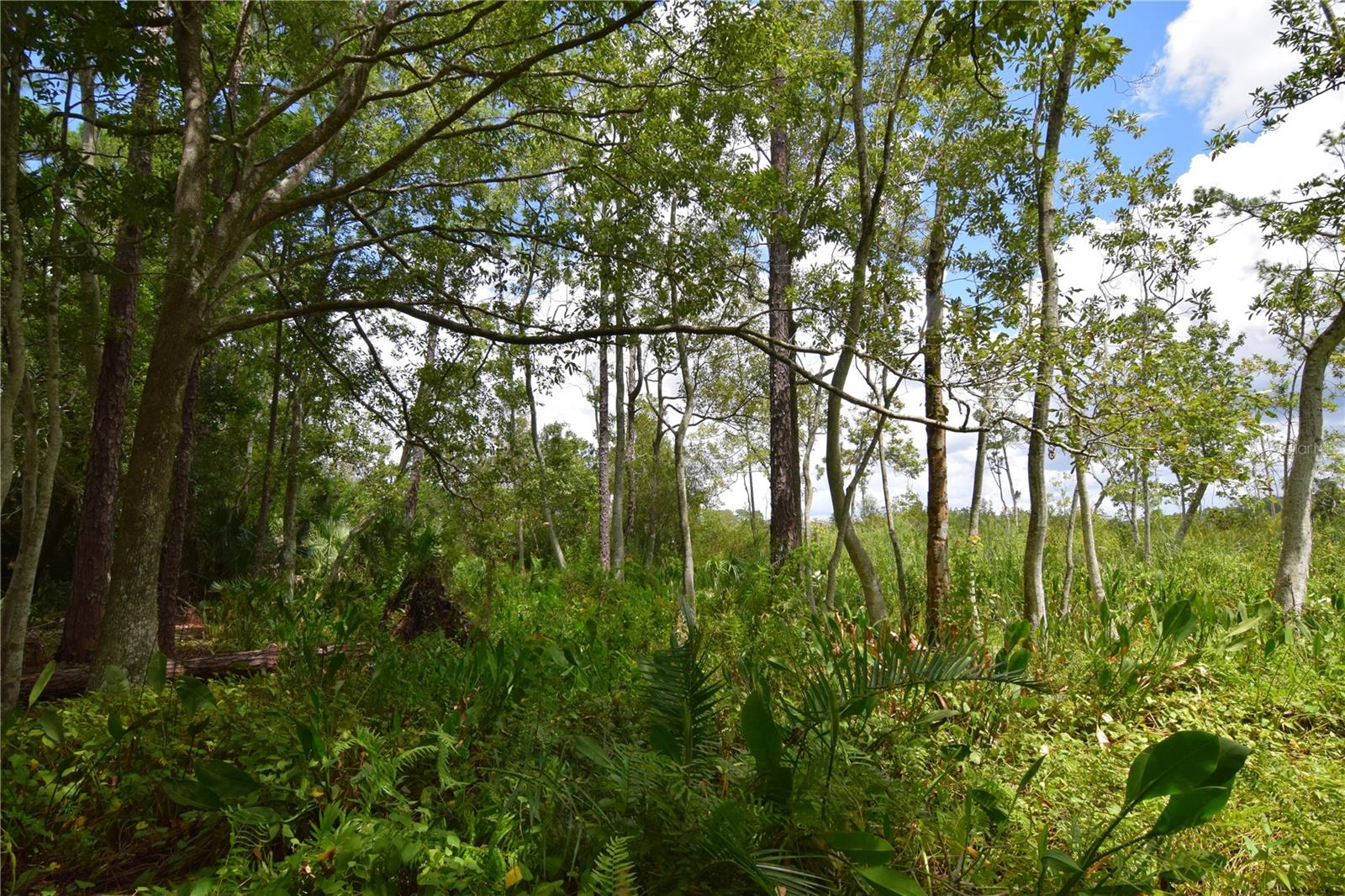 OFF PALM SPRINGS & BEACH, LONGWOOD, FL, 32750